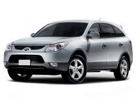 Коврики в салон (2 ряда) Hyundai ix55 7 мест 2008-2012