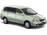 Коврики в салон (2 ряда) Toyota Gaia (1998-2004) (правый руль)